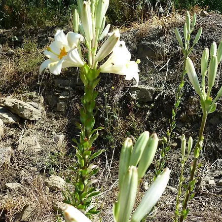 Nostro Rifugio בית נופש