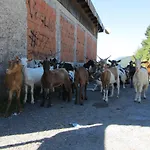 Holiday home Nostro Rifugio
