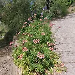 Nostro Rifugio * Apricale