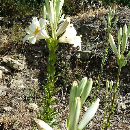 Nostro Rifugio Semesterbostad