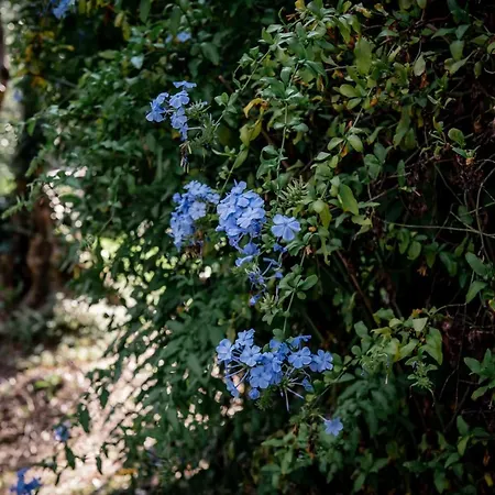 Nostro Rifugio אפריקלה