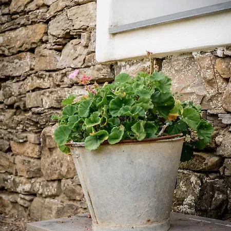 Nostro Rifugio * אפריקלה