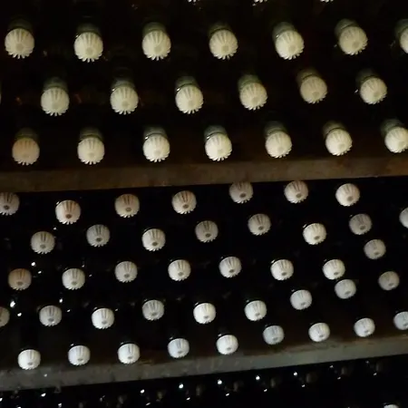 Nostro Rifugio אפריקלה