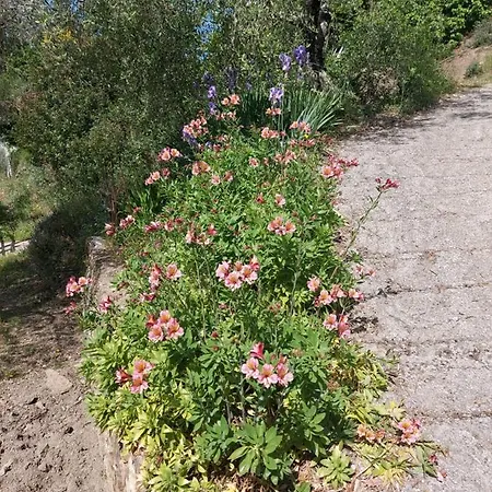 Nostro Rifugio * אפריקלה