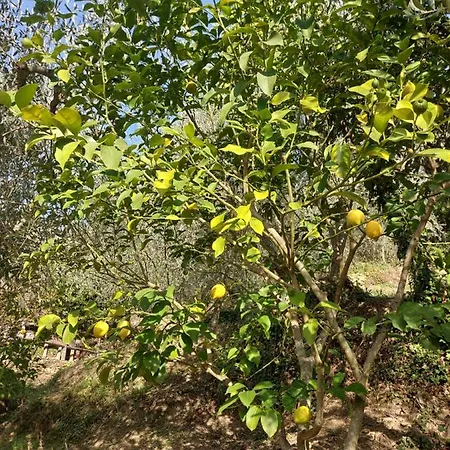 Nostro Rifugio בית נופש אפריקלה