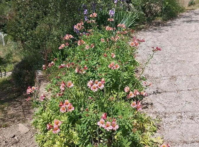 Nostro Rifugio * Apricale