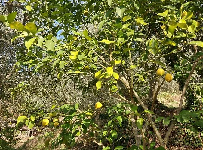 Nostro Rifugio בית נופש אפריקלה
